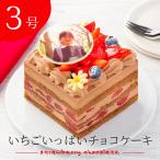 誕生日 写真ケーキ 3号 いちごいっ