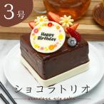 誕生日 チョコレートケーキ 3号 シ