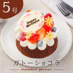 誕生日 チョコレートケーキ 5号 ガ