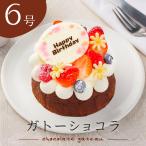 誕生日 チョコレートケーキ 6号 ガ