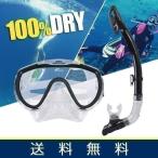 シュノーケル ゴーグル セット ダイビングマスク ダイビング ドライシュノーケル スノーケル シュノーケリング マスク 送料無料