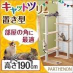 ショッピングツリー 1年保証 キャットツリー 据え置き 高さ 190cm 幅 94cm 猫タワー 爪とぎ シニア 運動不足 猫ちゃん PARTHENON190 組み立て 設置 簡単 部屋 送料無料