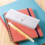 定規ｄｅパズル　ノベルティ 名入れ 販促品 記念品 まとめ買い