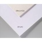 AR4548030433048 アーテック A＆Bオリジナルアートボード B4キャンバス