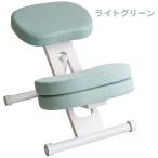 CH-N889CK-WHLGR 宮武製作所 プロポーションチェア(R) クッション付きプロポーションチェアキッズ ライトグリーン ホワイト脚