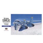 ハセガワ F-14A トムキャット 大西洋空母航空団 （1/72スケール E帯