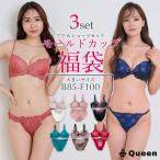 ブラショーツ 大きいサイズ 福袋 ブラジャー ショーツセット B85 B90 B95 C85 C90 C95 D85 D90 D95 E80 E85 E90 E95 E100 F80 F85 F90 F95 F100
