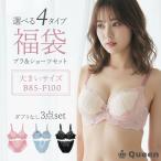 ショッピングD90 ブラショーツセット 福袋 大きいサイズ レディース 選べる テイスト B85?95 C85?95 D85?100 E80?100 F80?100