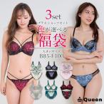ブラジャー 大きいサイズ 福袋 2025 ブラショーツセット B85 B90 B95 C85 C90 C95 D85 D90 D95 E80 E85 E90 E95 E100 F80 F85 F90 F95 F100
