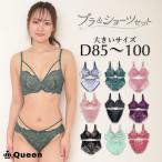 ショッピング大きい 大きいサイズ ブラジャー ショーツセット 下着 D85 D90 D95 D100 モールドカップ 大きめアンダー ランジェリー