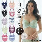 ブラショーツセット 脇高ブラ 大きいサイズ レディース 下着 C85 C90 C95