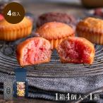 la* mezzo n влажный Madeleine здесь n4 штук входит ×1 коробка конфеты сладости подарок .. для жарение кондитерские изделия рекомендация 