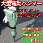 大型電動ハンマー はつり ハツリ 破砕 ケース付 工具 本体 コンクリート 粉砕 家庭工事 打撃 回転 ドリル 送料無料 ###ハンマーDH-6501###