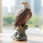アメリカンイーグル オブジェ・置物 高さ30cm ■ 鷲 置物 猛禽類最強フィギュア 野鳥 ハクトウワシ アメリカ インテリア・輸入雑貨 アメリカン雑貨