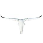 壁掛けオブジェ LONG HORN ブル スカルヘッド オブジェ 縦39cm×横80cm ■ 雄牛 牛 ウシ ウエスタン ウォールハンギング インテリア 雑貨