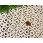  отверстие гонки редкий роскошный (2 цвет )[1 шт 94cmx50cm]3 шт до кошка pohs возможность KLM296