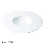 桐井陶器 モデルノ MODERNO orion 25cmス