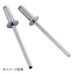 新潟精機 SK ブラインドリベット (5-5) 60本入 SK-545W