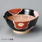 天目椿櫛目6.0すり鉢赤絵