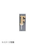 アルファベットキャンドル パステル F