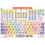 Flying Egg 下敷き したじき 小学生 A4 (A4キーボード・ローマ字入力表) マルチカラー