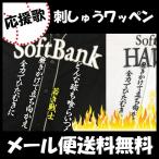 【【メール便送料無料】納期注意【ソフトバンクホークス 刺繍ワッペン 江川 応援歌】江川智晃 /応援歌/ユニフォーム/優勝/プロ野球刺しゅう/ワッペン【SG】