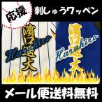 [[ почтовая доставка бесплатная доставка ] срок поставки внимание [ Yokohama DeNA Bay Star z вышивка нашивка .. имя ]... большой / отвечающий ../ форма / победа / Professional Baseball / вышивка /..../ нашивка 