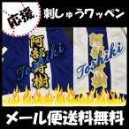 [[ почтовая доставка бесплатная доставка ] срок поставки внимание [ Chunichi Dragons вышивка нашивка . часть имя ]. часть ../..../ нашивка / сопутствующие товары 