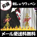 [[ почтовая доставка бесплатная доставка ] срок поставки внимание [ Chiba Lotte Marines вышивка нашивка три дерево имя ] три дерево ./ отвечающий ../ форма / Professional Baseball / вышивка /..../ сопутствующие товары 
