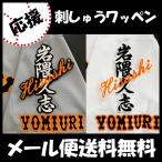 【【メール便送料無料】納期注意【読売ジャ