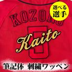[ Hiroshima carp вышивка нашивка кисть регистрация body игрок название большой ] можно выбрать игрок / отвечающий ../ carp /carp/ отвечающий ./ вышивка / форма 