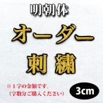 【名前  オーダー刺繍ワッペン 明朝体 3cm  一文字の金額です】刺繍/刺しゅう/ワッペン/応援グッズ/プロ野球/サッカー