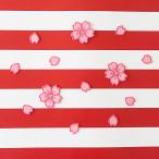 【ラグビー ワールドカップ 2023 応