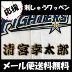 【【メール便送料無料】納期注意【日本ハム