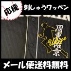 【【メール便送料無料】納期注意【ソフトバ