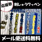 【【メール便送料無料】納期注意【横浜DeNAベイスターズ 刺繍ワッペン 佐野 応援歌】佐野恵太/応援歌/ユニフォーム/刺繍/刺しゅう/ワッペン/応援グッズ【SG】