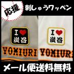 【【メール便送料無料】納期注意【読売ジャ