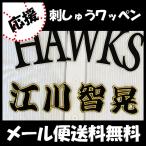 【【メール便送料無料】納期注意【ソフトバ