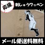 メール便送料無料 納期注意 日本ハム 刺繍ワッペン 中島 シルエット3 中島卓也 応援歌 ユニフォーム 日ハム ファイターズ N Laconquete ぷらす 通販 Yahoo ショッピング