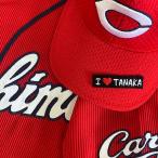 [ почтовая доставка бесплатная доставка ] Hiroshima carp вышивка нашивка I Love TANAKA mini чёрный / рисовое поле средний широкий ./ Восток carp /carp/ отвечающий ./ вышивка / Uni Home 