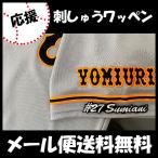 【【メール便送料無料】納期注意【読売ジャ