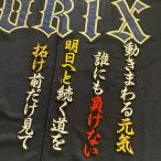 メール便送料無料 オリックス バファローズ 刺繍ワッペン 西野 応援歌 黒 西野真弘 Orix 応援 刺繍 ユニホーム Oc 1110 340 Laconquete ぷらす 通販 Yahoo ショッピング