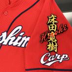 [ почтовая доставка бесплатная доставка ] Hiroshima carp вышивка нашивка пол рисовое поле имя чёрный / пол рисовое поле ../carp/ отвечающий ./ вышивка / Uni Home 