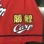 [ почтовая доставка бесплатная доставка ] Hiroshima carp вышивка нашивка . обыкновенный карп чёрный /carp/ отвечающий ./ вышивка / Uni Home 