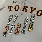 【メール便送料無料】読売 ジャイアンツ 