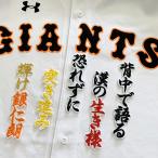 【メール便送料無料】読売 ジャイアンツ 