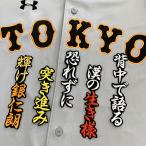 【メール便送料無料】読売 ジャイアンツ 