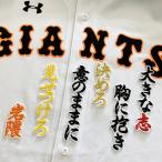 【メール便送料無料】読売 ジャイアンツ 