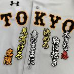 【メール便送料無料】読売 ジャイアンツ 