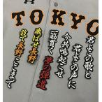 【メール便送料無料】読売 ジャイアンツ 